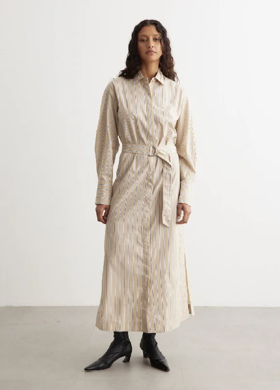 Can't Miss Briar Stripe Poplin Dress